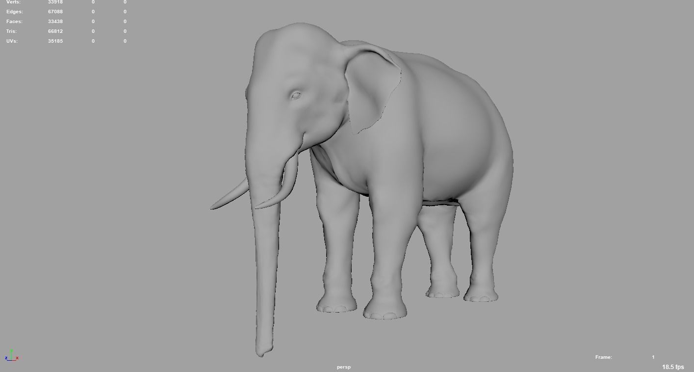 Elephant  Rigged  3D model_7
