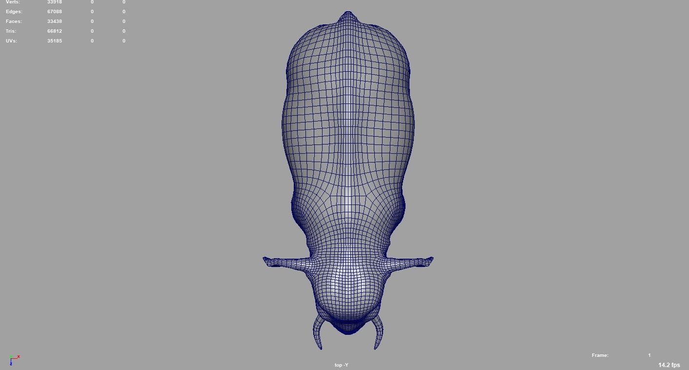 Elephant  Rigged  3D model_9