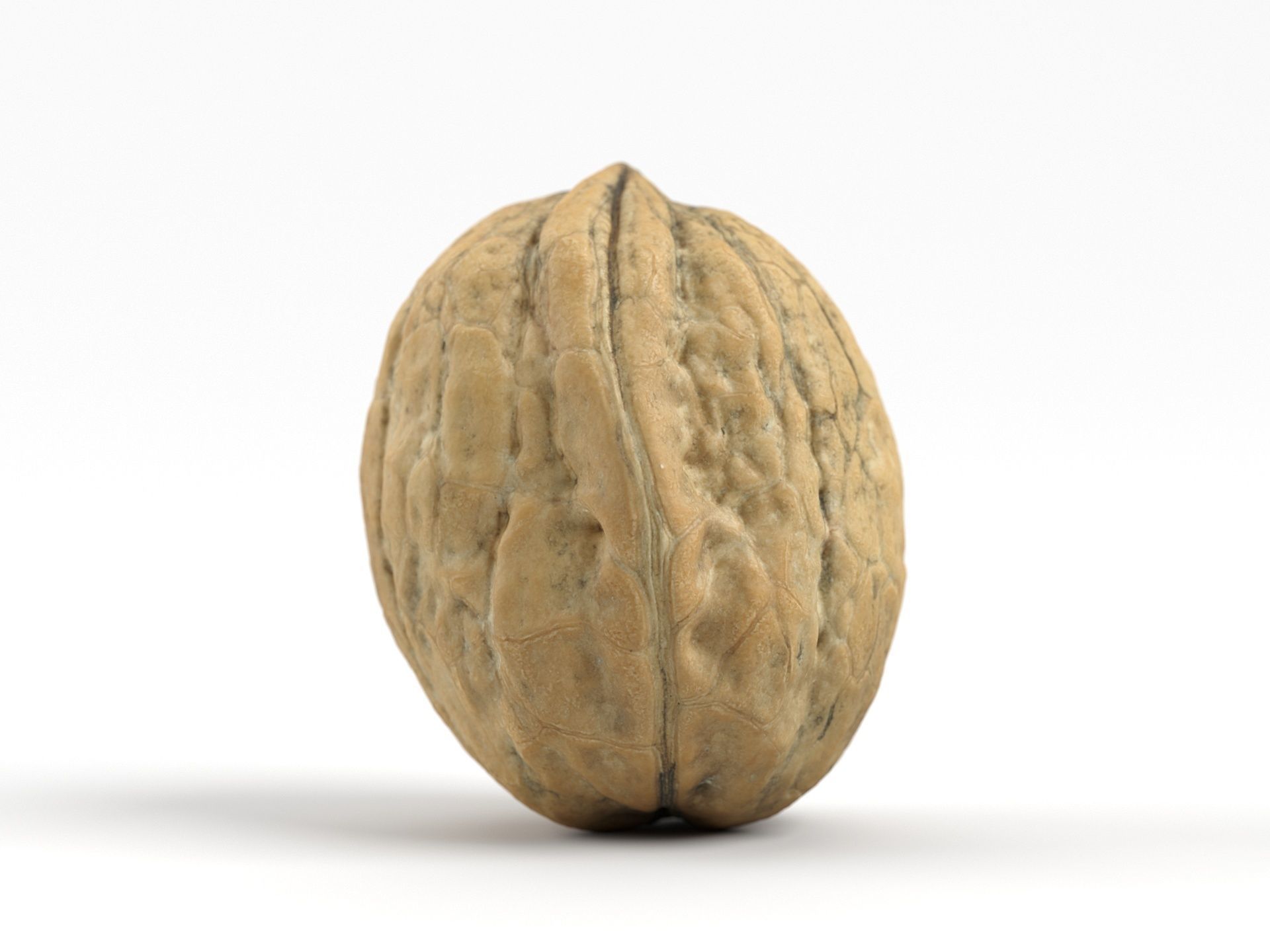 Photorealistic Walnut 3D Scan 01 3D model_2