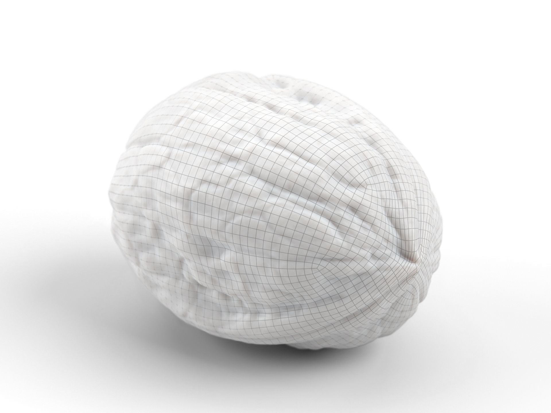Photorealistic Walnut 3D Scan 01 3D model_7