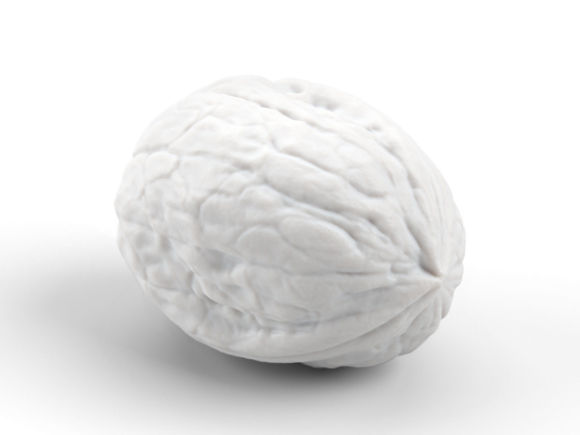 Photorealistic Walnut 3D Scan 01 3D model_8