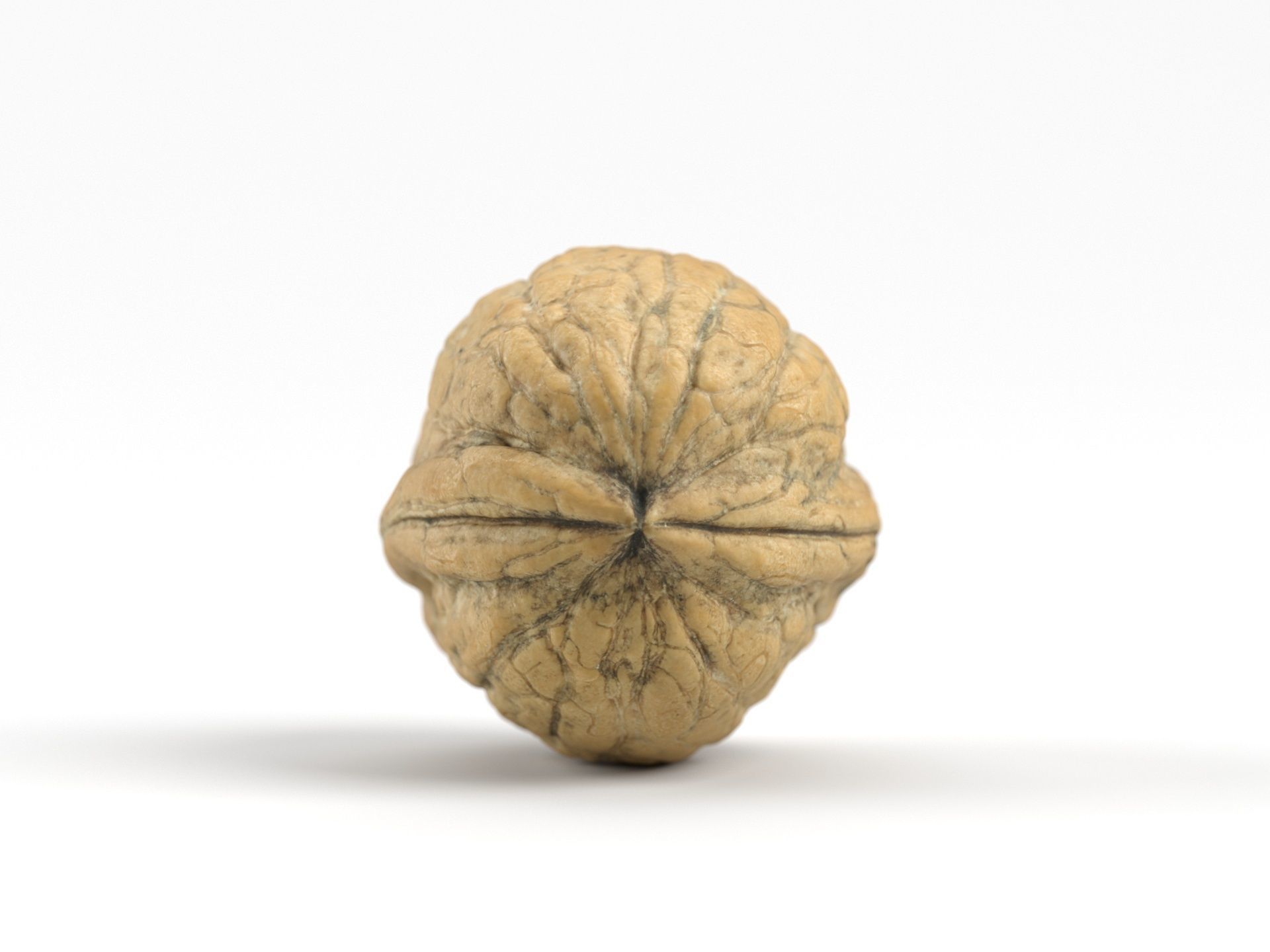 Photorealistic Walnut 3D Scan 01 3D model_5