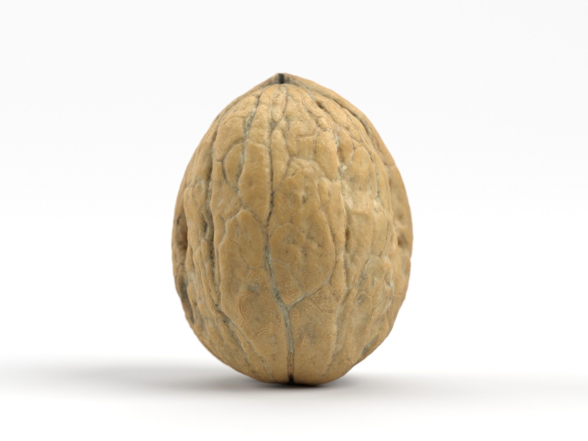 Photorealistic Walnut 3D Scan 01 3D model_3