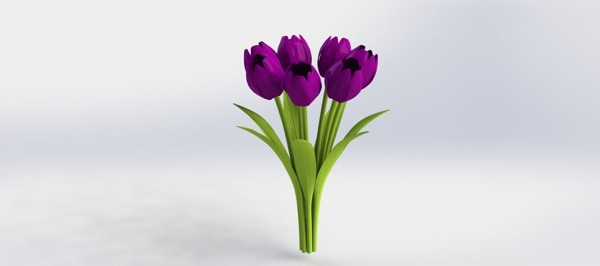 tulips tulip Free 3D model_5