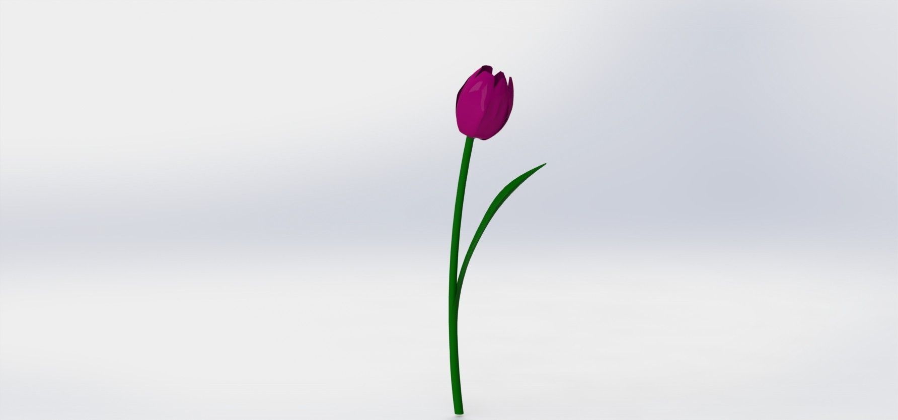 tulips tulip Free 3D model_1