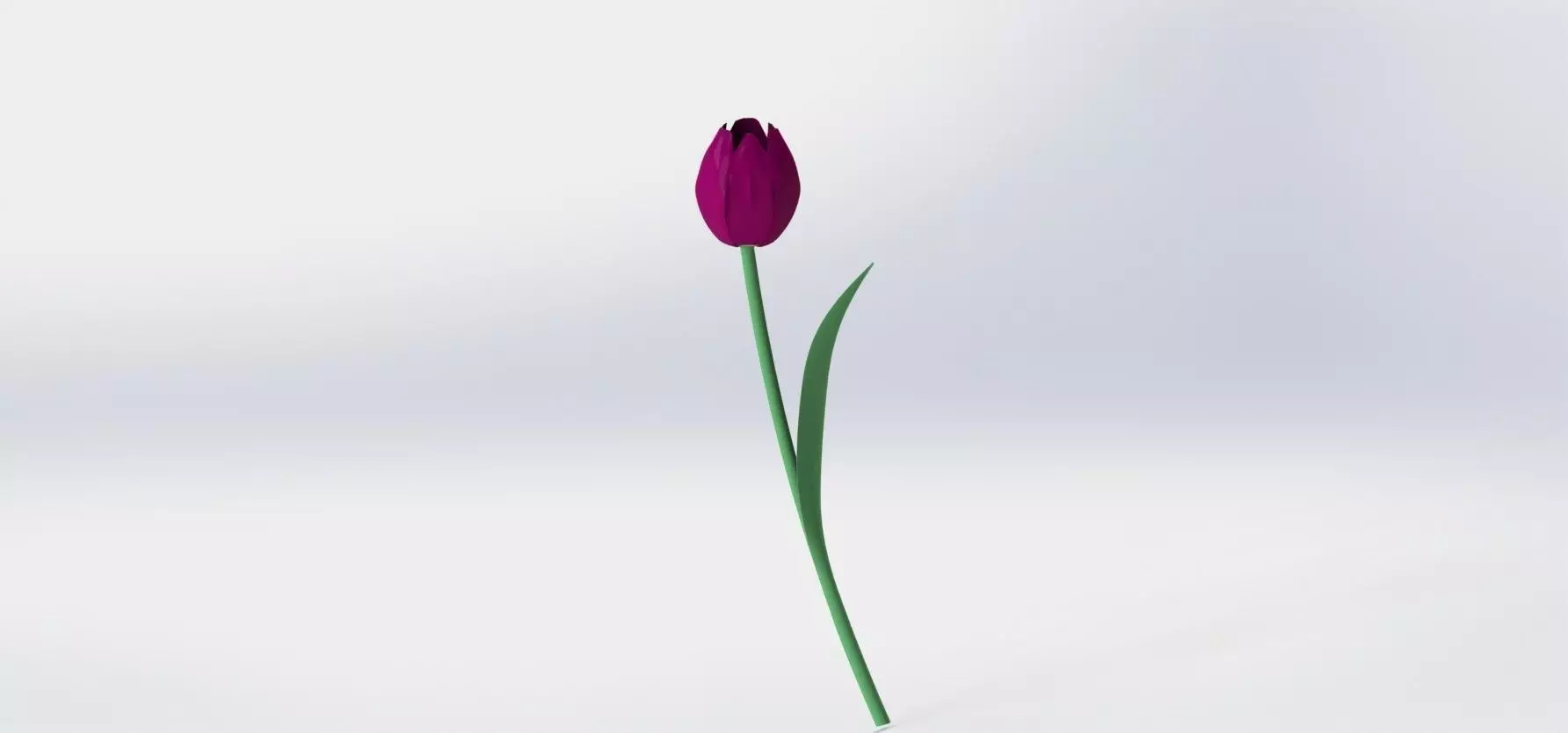 tulips tulip Free 3D model_0