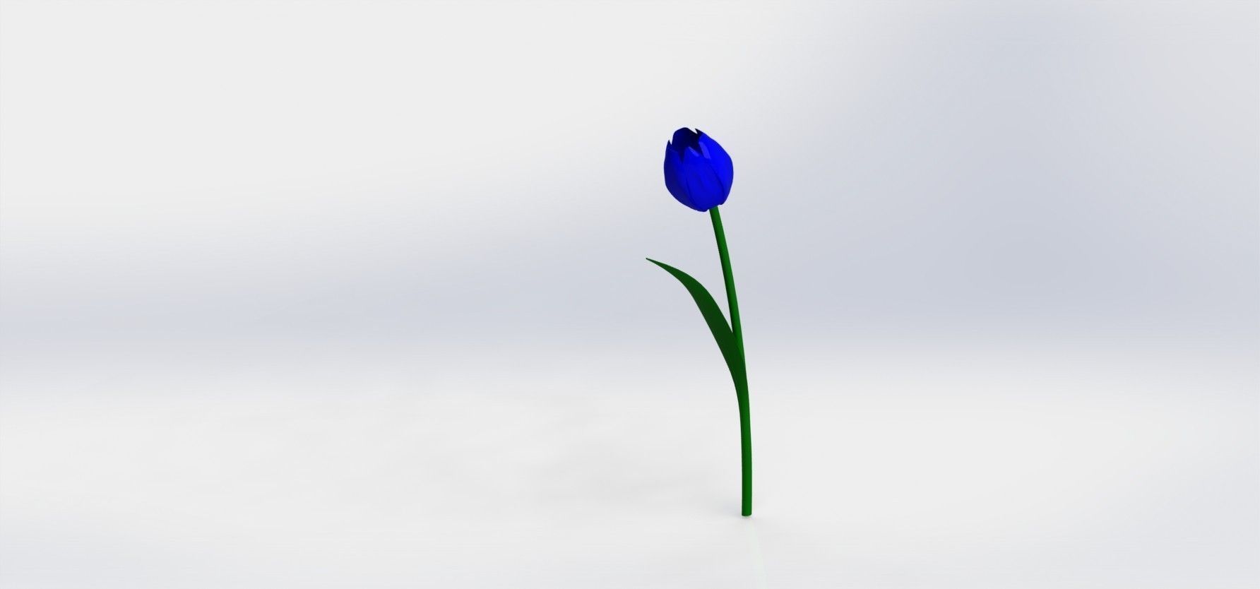 tulips tulip Free 3D model_2