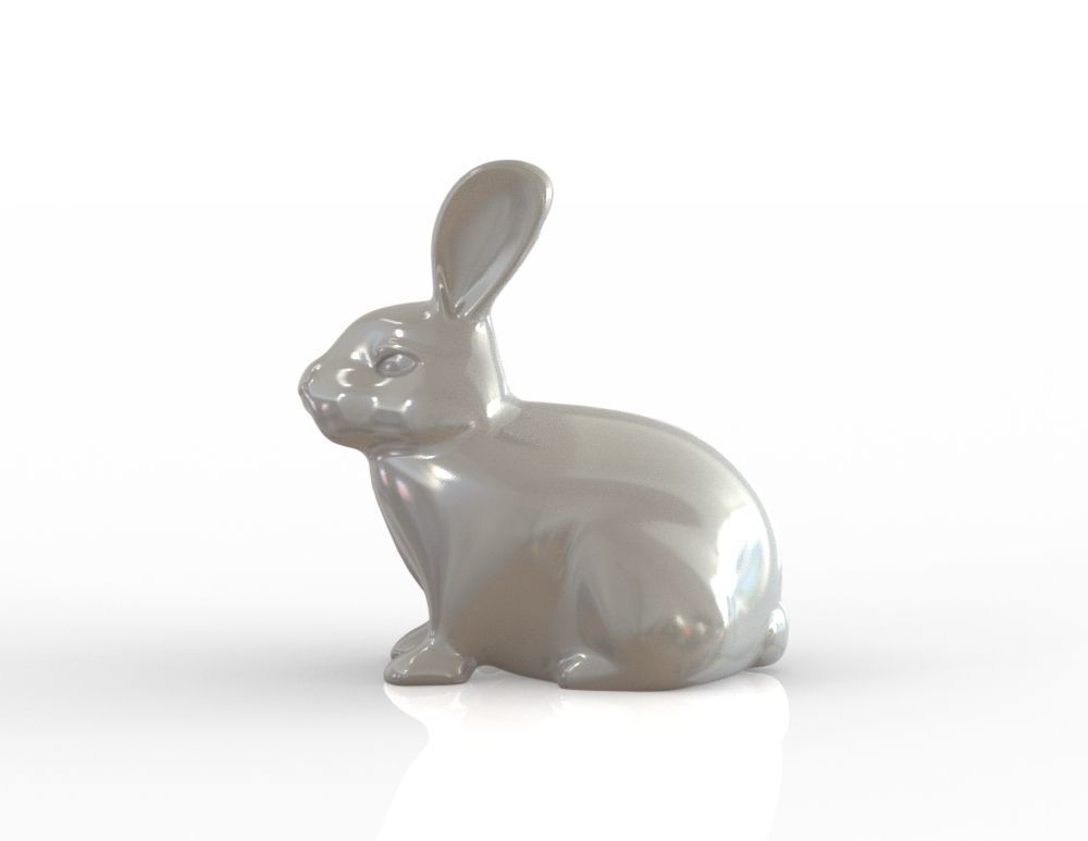 Rabbit 3D print model_1