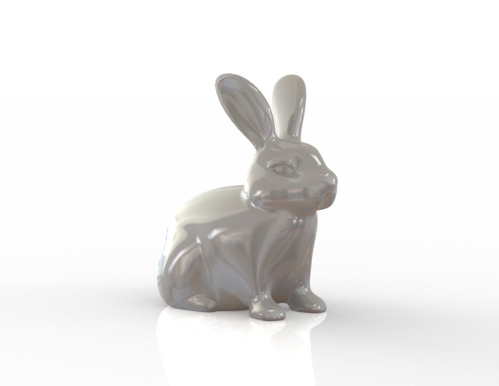 Rabbit 3D print model_6