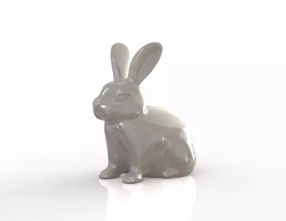 Rabbit 3D print model_0
