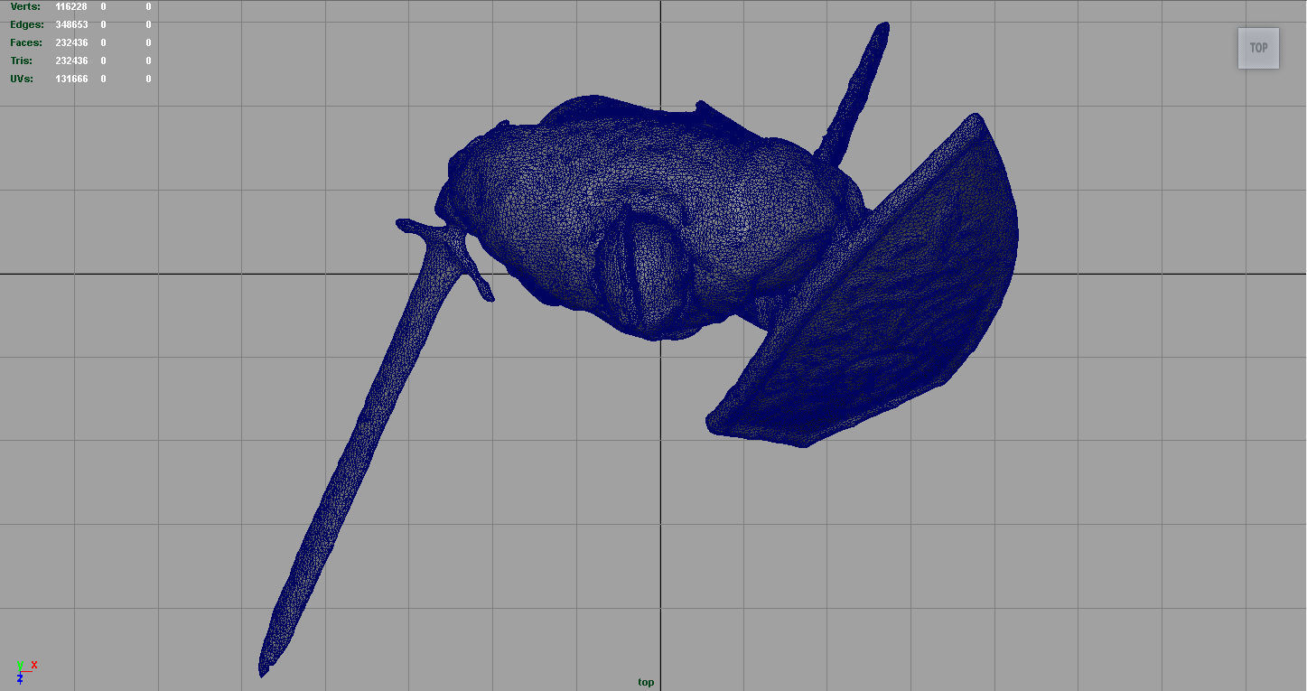 Faraam Knight Low-poly 3D model_9