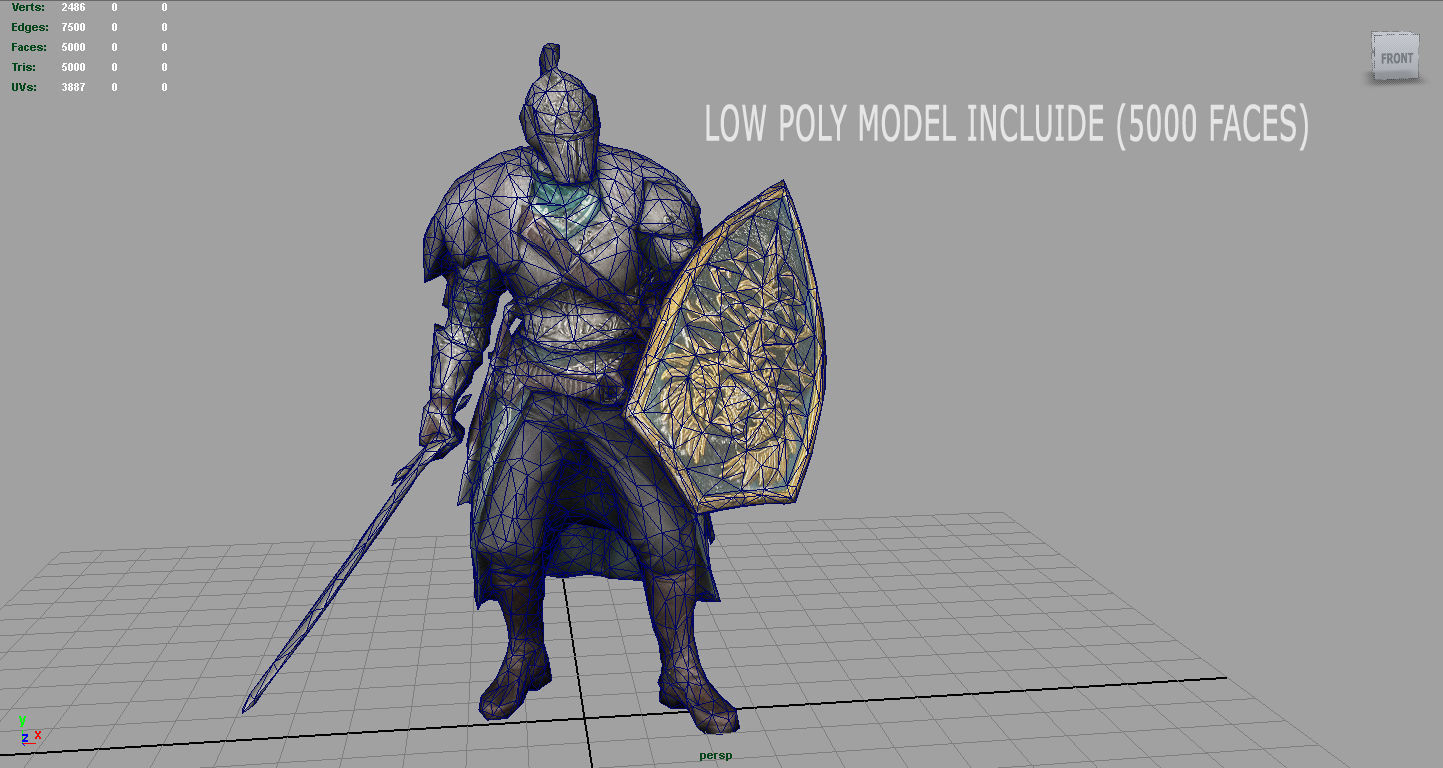 Faraam Knight Low-poly 3D model_5