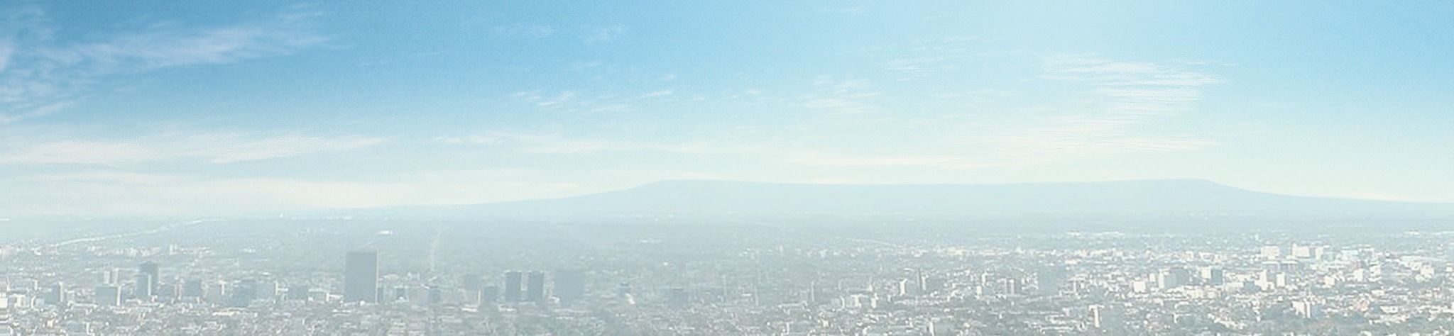 Low poly city with tall buildings Low-poly 3D model_13