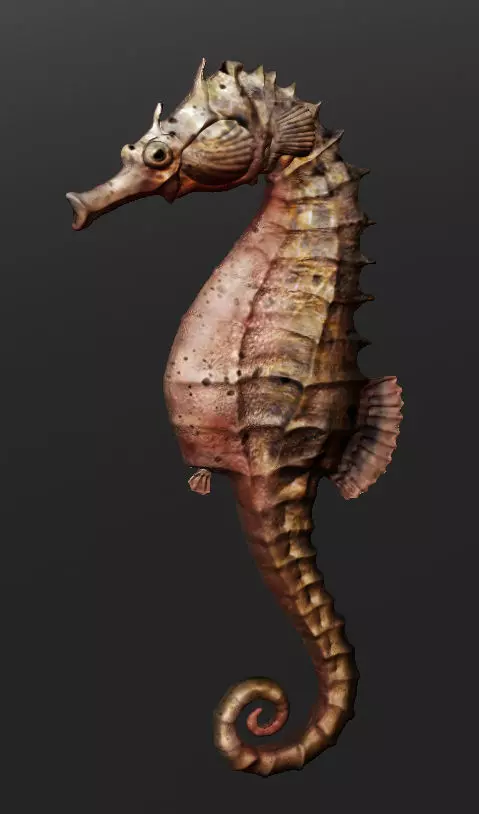 Sea horse 3D model_0