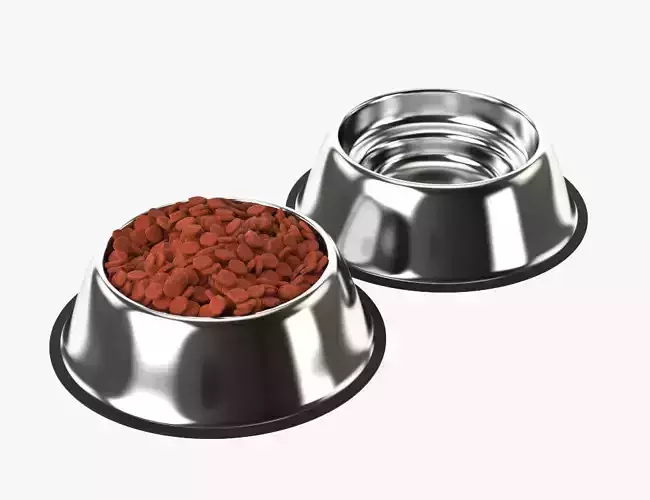 Stainless Steel Dog Bowl with food