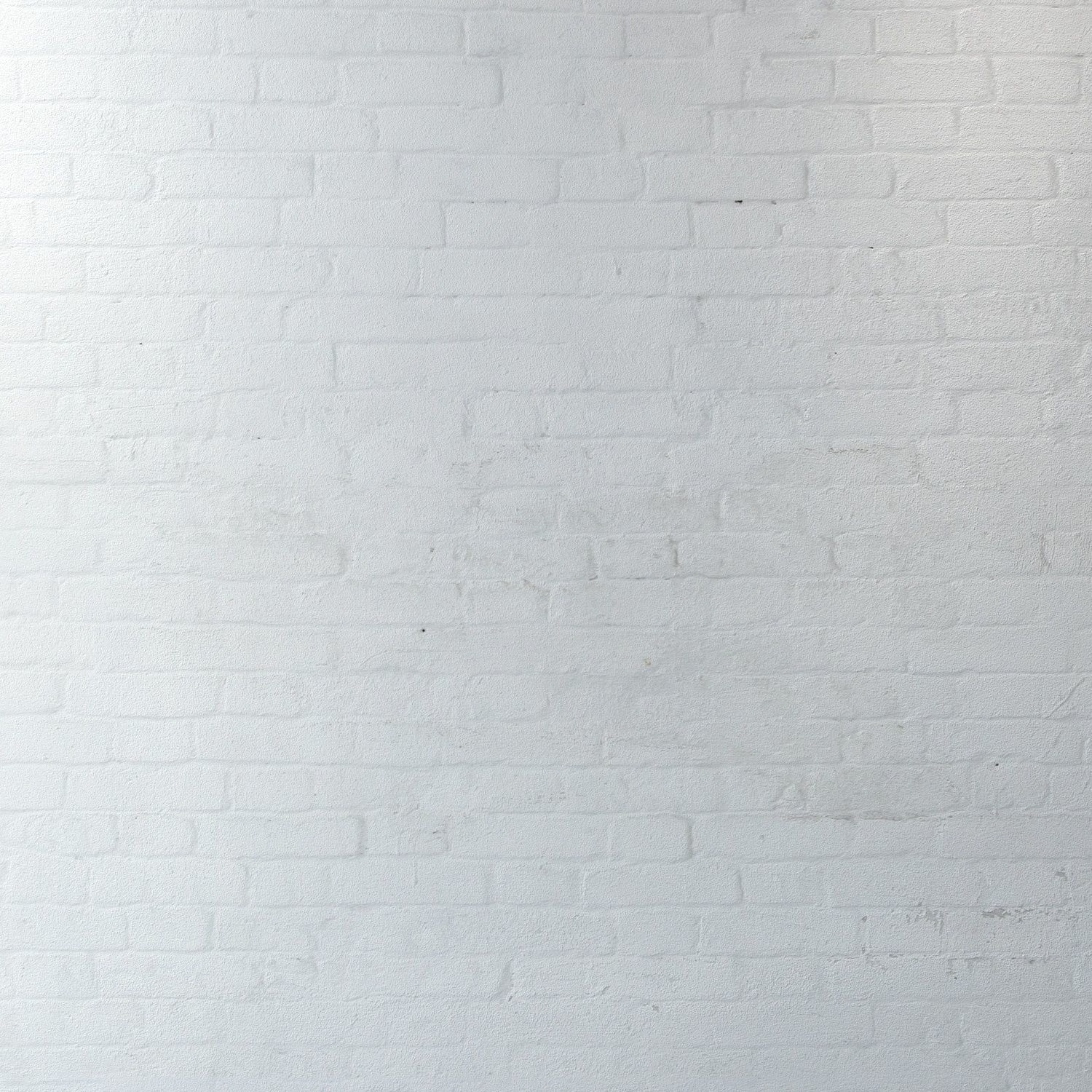 Aged brick walls of white brick Texture_2