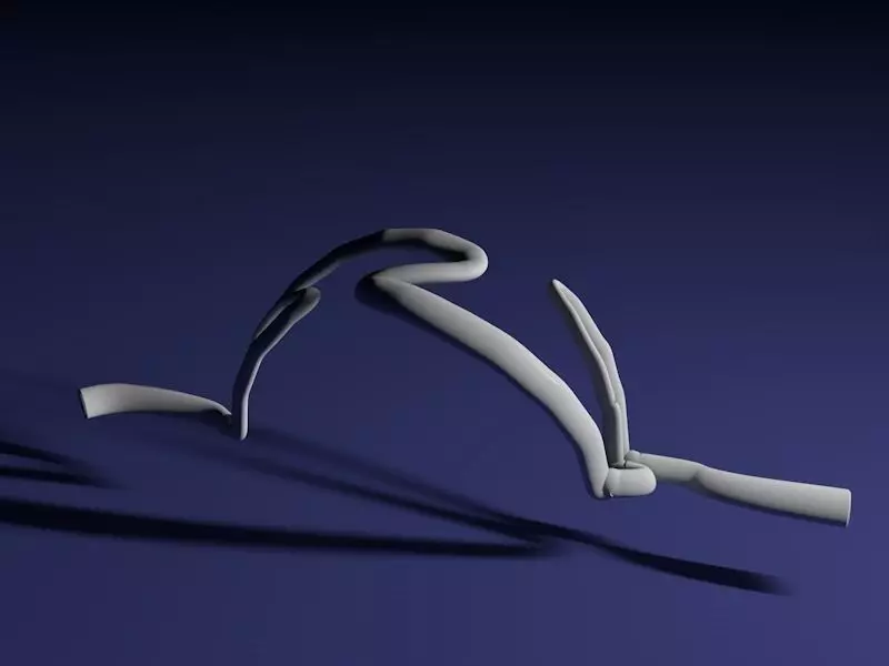 Curved line Free 3D print model