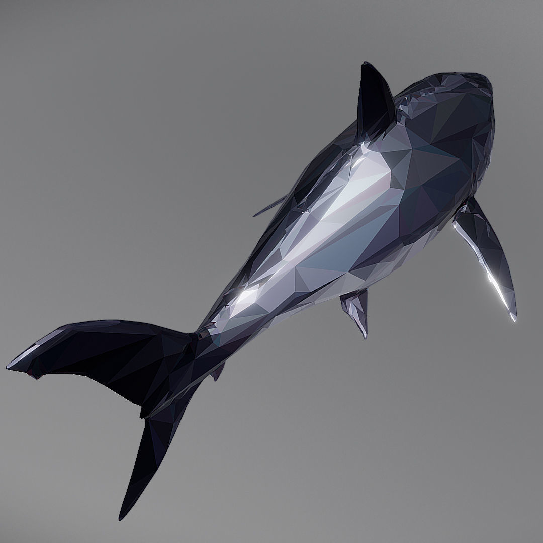 Dark Shark Low Polygon Art Ocean Fish Low-poly 3D model_4