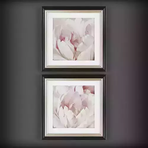 Picture Frames