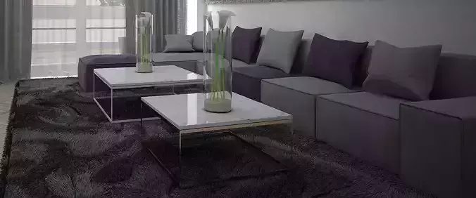 sofa carpet cofee table