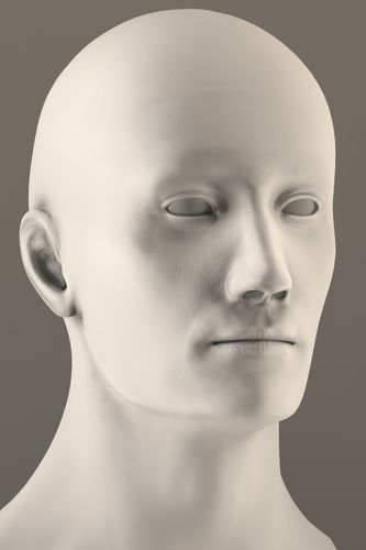 Realistic male head low-poly 3D model Low-poly 3D model