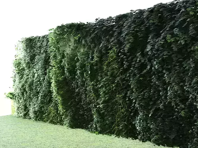 Vertical Garden 5 3D model