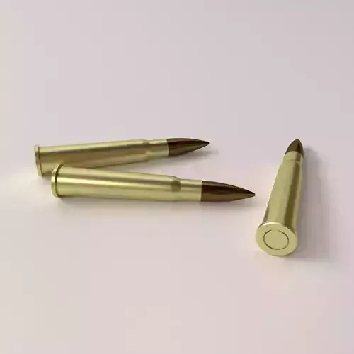 Ammunition 303