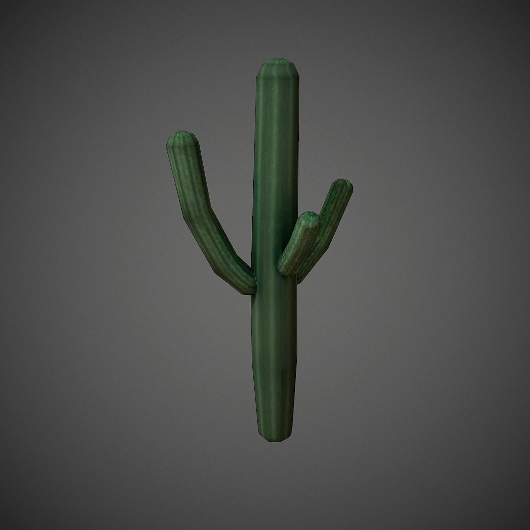 Western Props Pack Mobile Ready Low-poly 3D model_24