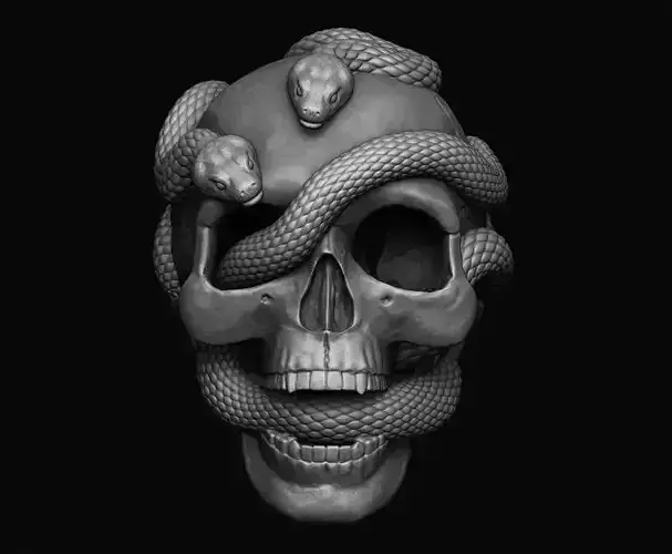 Skull with snakes 3D print model