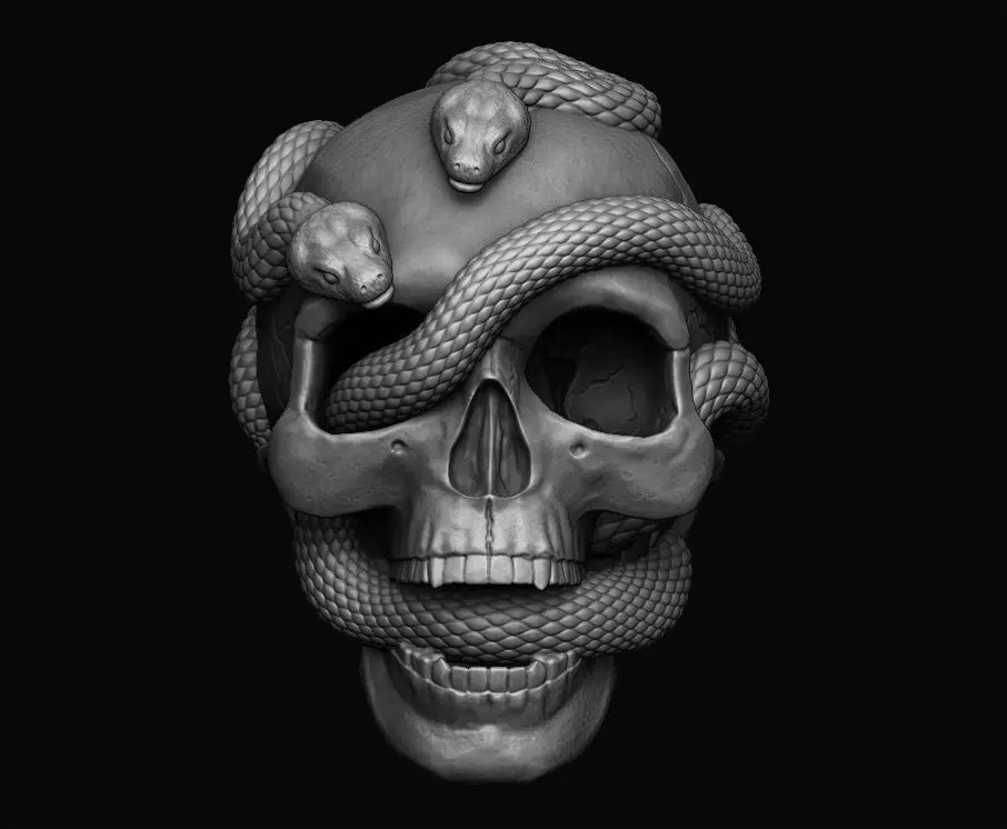 Skull with snakes 3D print model_0