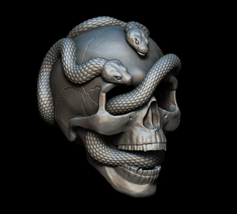 Skull with snakes 3D print model_2
