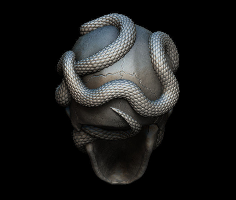 Skull with snakes 3D print model_5
