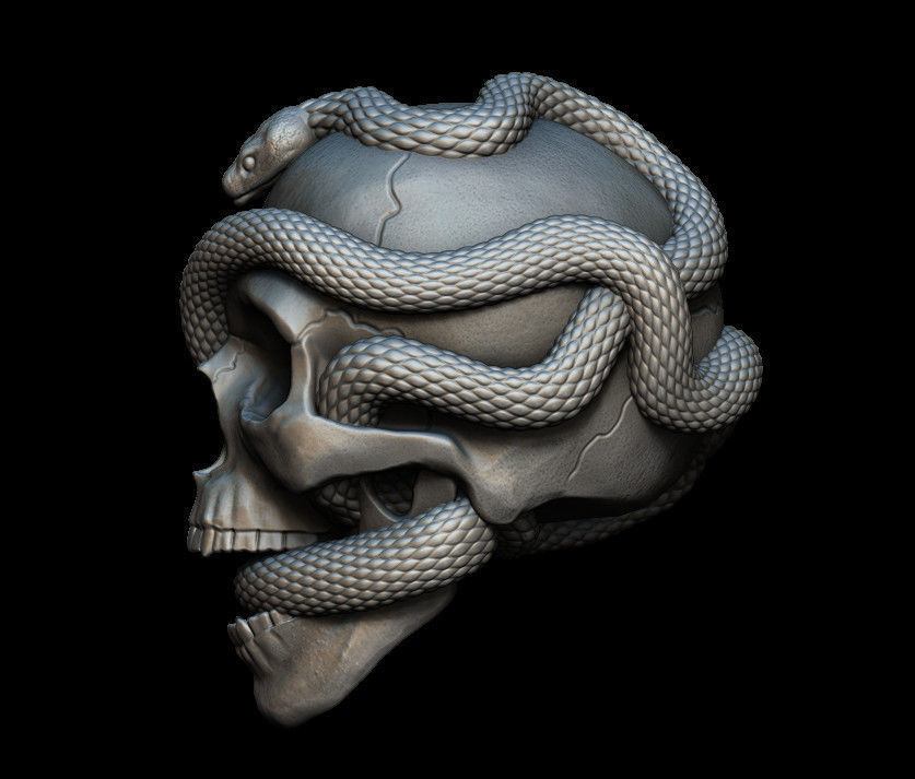 Skull with snakes 3D print model_4