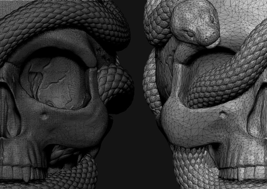 Skull with snakes 3D print model_6