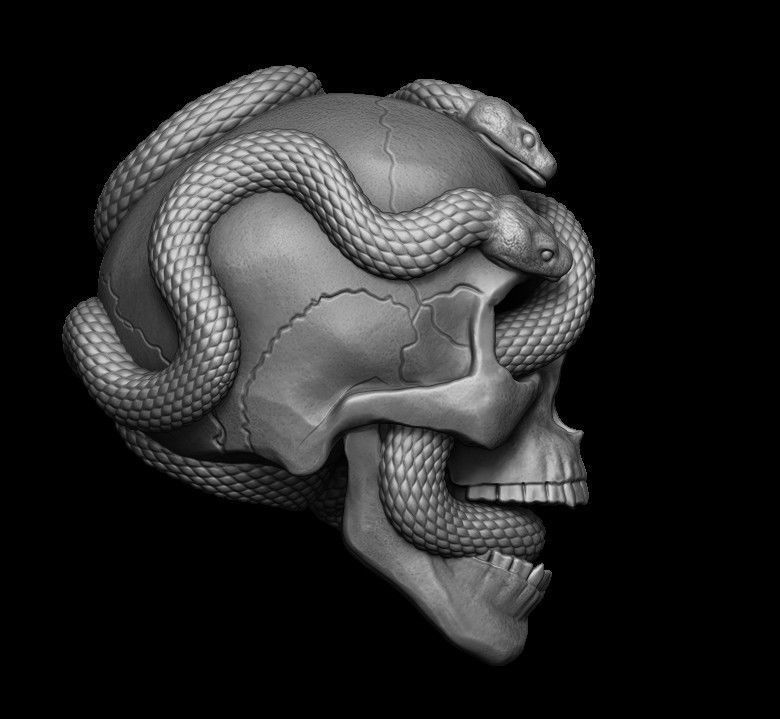 Skull with snakes 3D print model_3