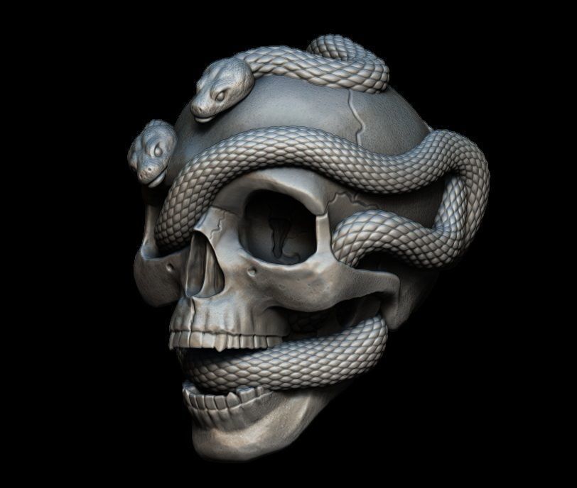 Skull with snakes 3D print model_1