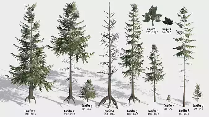 Conifer Trees Low-poly 3D model