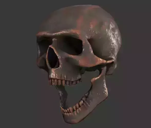 Lowpoly Skull