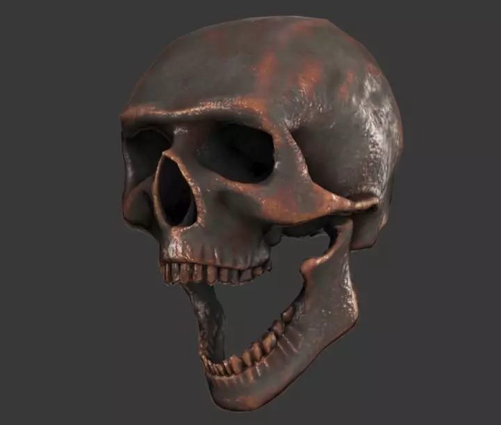 Lowpoly Skull Low-poly 3D model_0