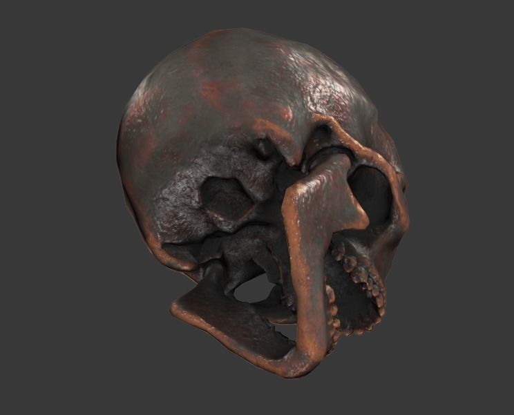 Lowpoly Skull Low-poly 3D model_1