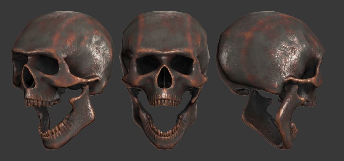 Lowpoly Skull Low-poly 3D model_4