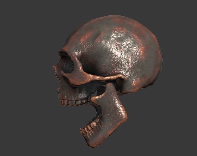 Lowpoly Skull Low-poly 3D model_2