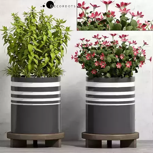 Decorative plant set-46