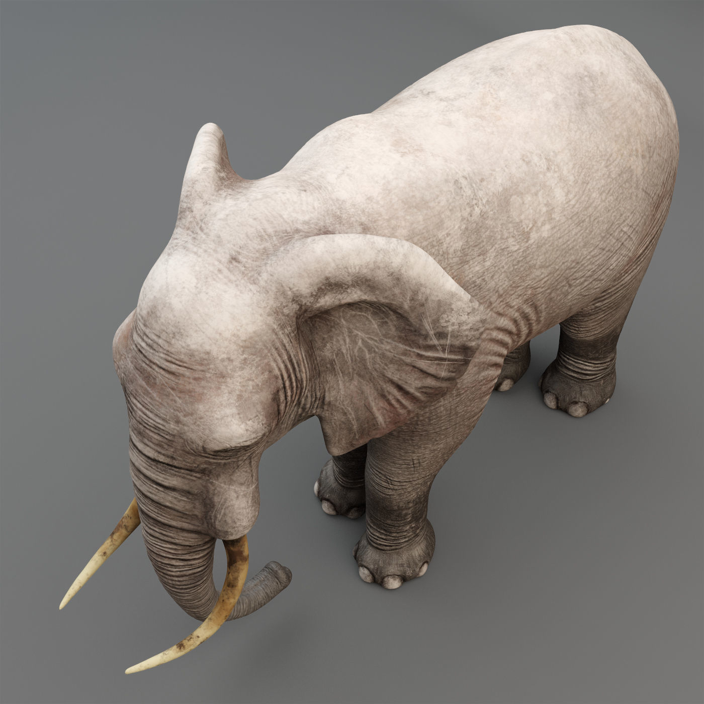 3D Rigged Elephant model Low-poly 3D model_3