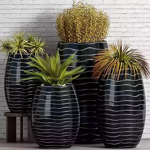 Decorative plant set-47