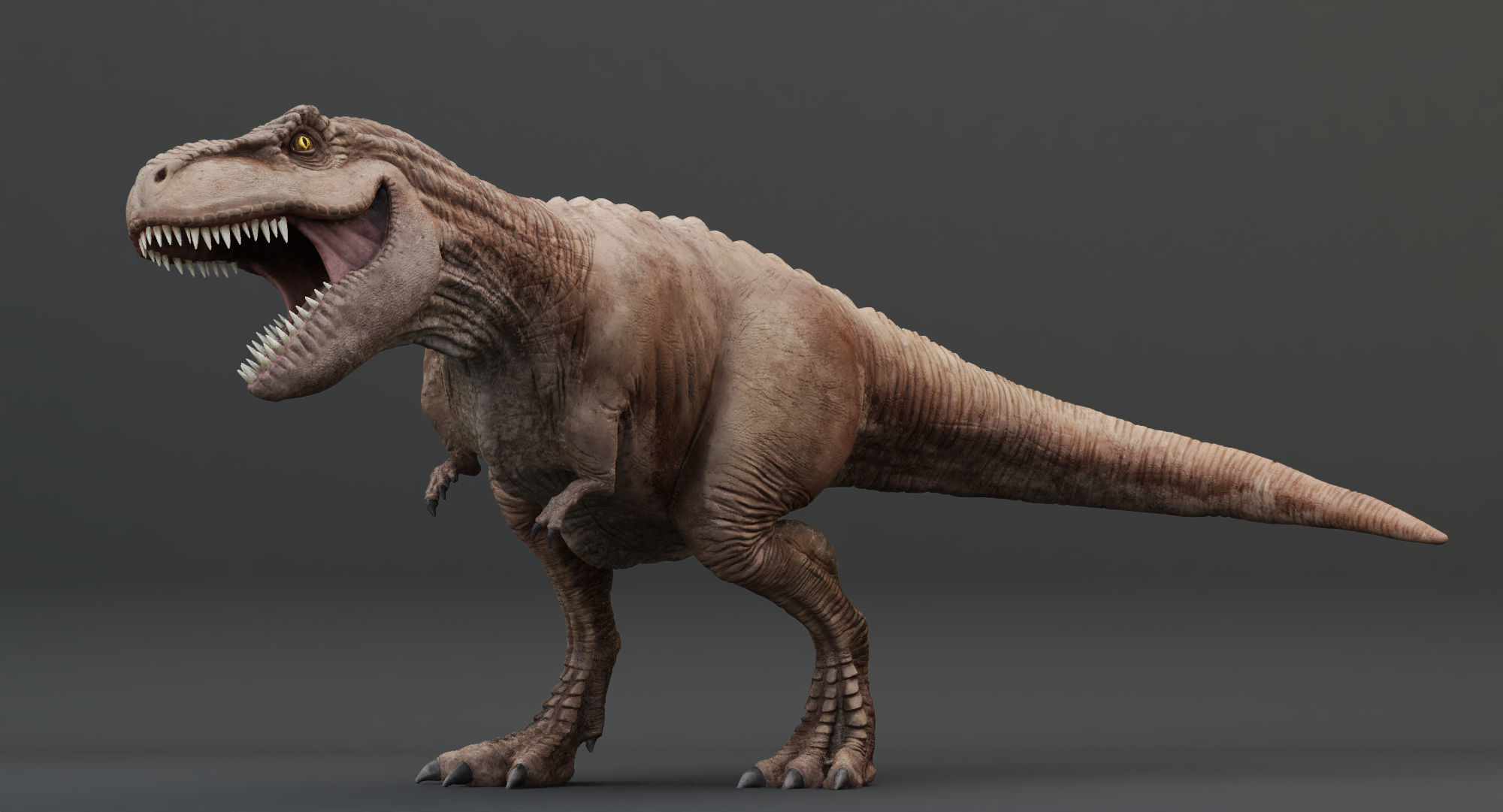 Animated Tyrannosaurus Rex Low-poly 3D model_5