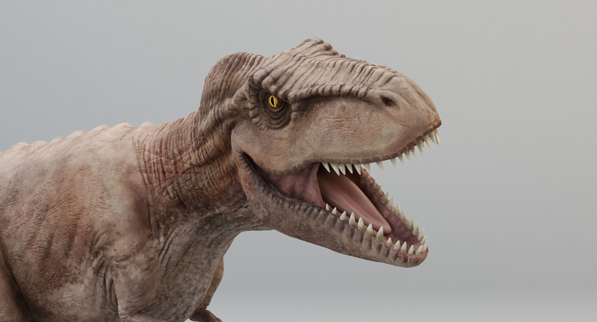 Animated Tyrannosaurus Rex Low-poly 3D model_9