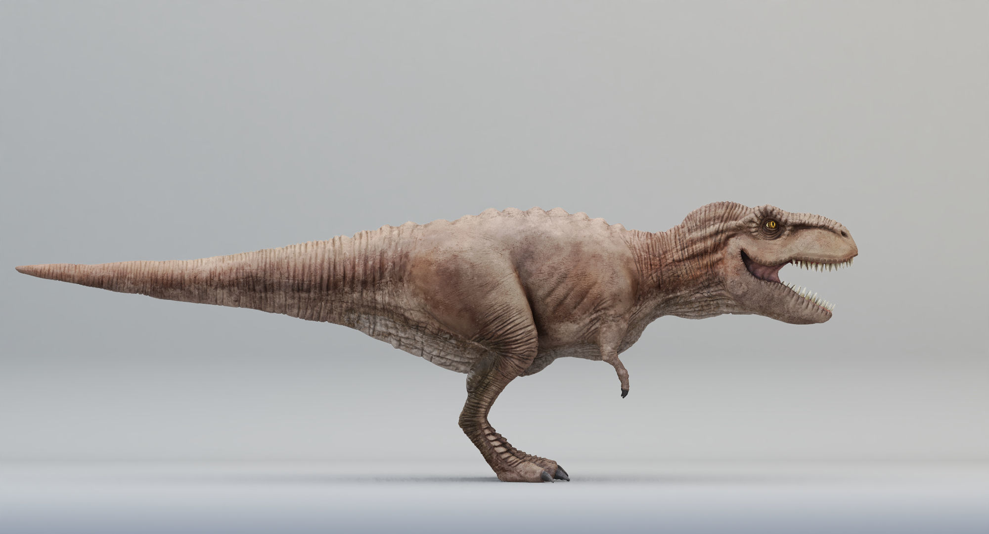 Animated Tyrannosaurus Rex Low-poly 3D model_6