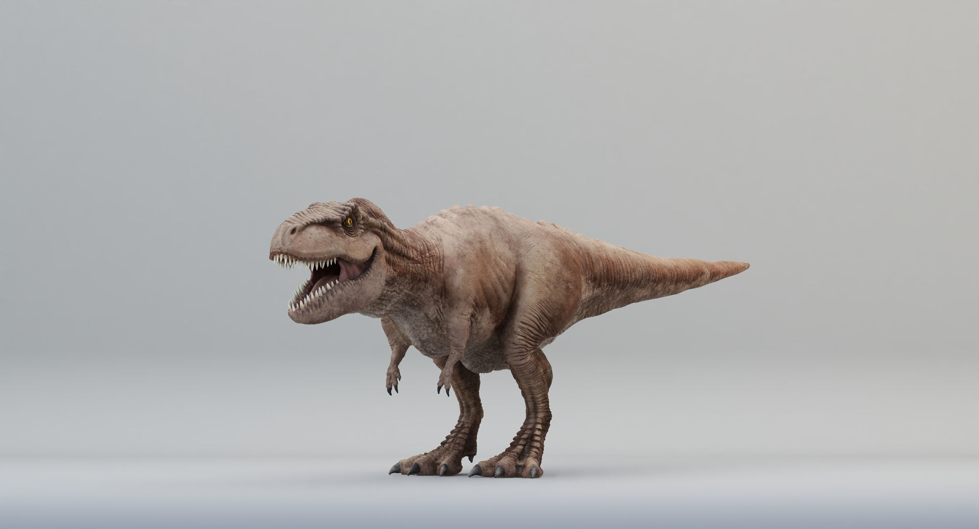 Animated Tyrannosaurus Rex Low-poly 3D model_10