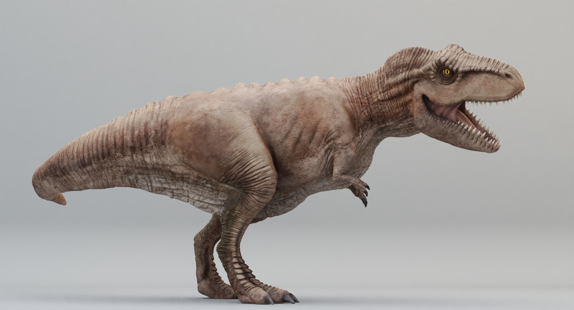 Animated Tyrannosaurus Rex Low-poly 3D model_8